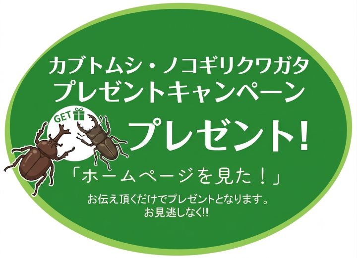 30%OFFキャンペーン画像